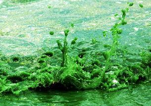 死水最新爆料,最新爆料揭露惊人内幕 第2张 死水最新爆料,最新爆料揭露惊人内幕 第2张